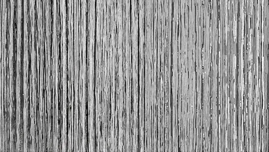 スプラッシュシルバー