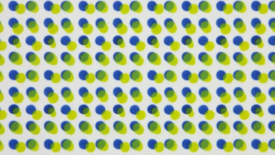 プーリア オリーブ