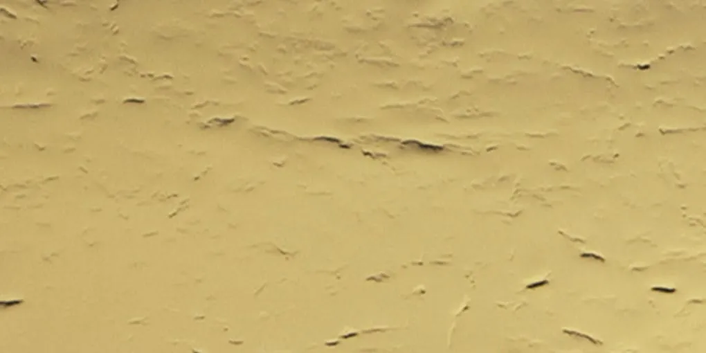 S（エス）ゴールド