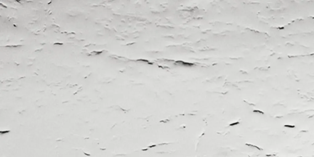 S（エス）シルバー