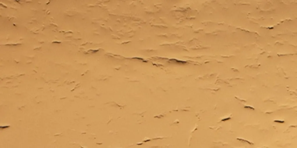 S（エス）カッパ―