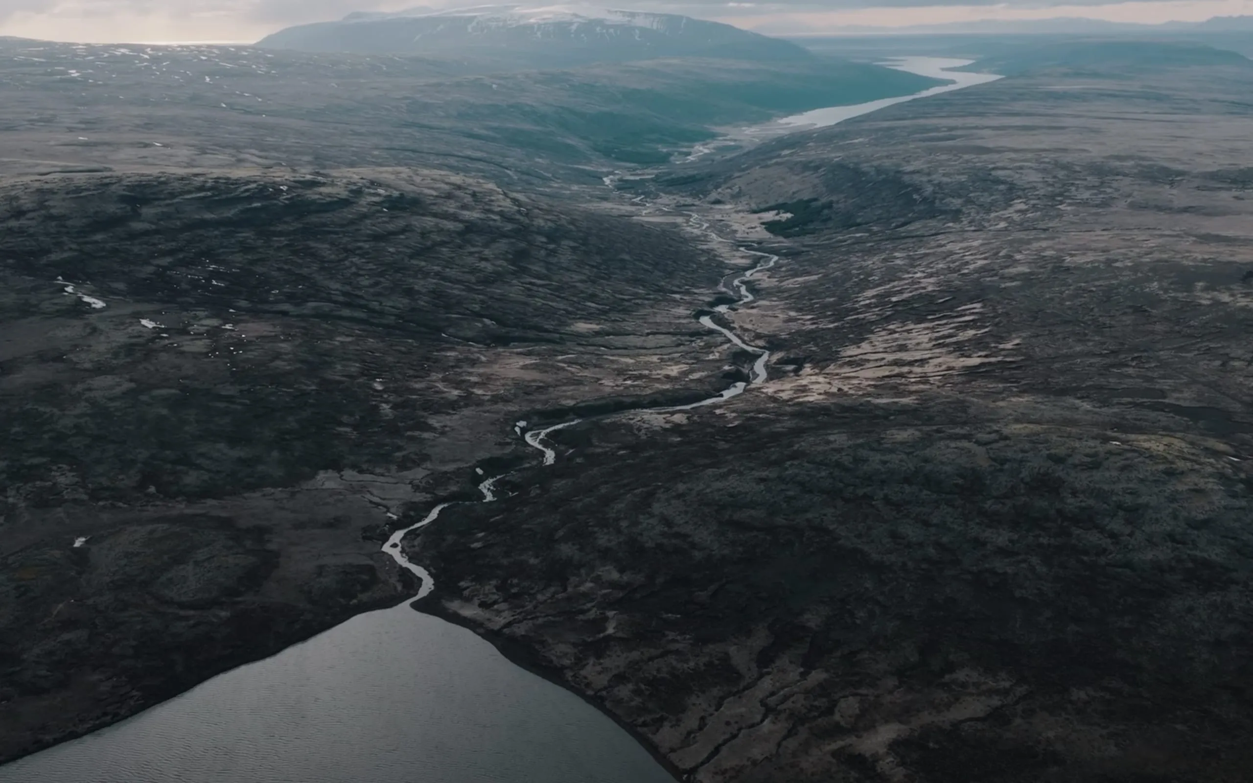 TOYO KITCHEN STYLE Sy(サイ)