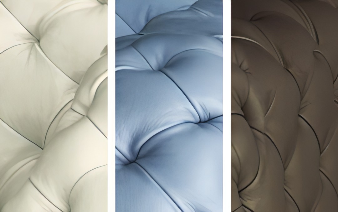 集 フィーノレザ