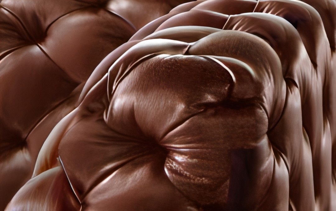 集 シェルトレザー