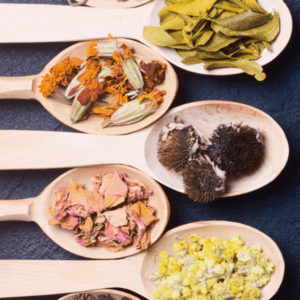 「蘇る漢方のヒミツ」 秋の漢方・薬膳講座 in 東京