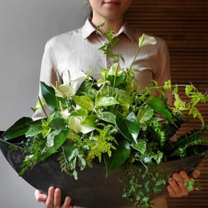 プランツギャザリング ワークショップ開催 in 高松