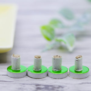 お灸カフェ×インテリア空間 鍼灸師が教えるセルフケア講座『美のツボ冬温活編』in 金沢