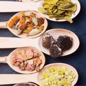 漢方養生セミナー「デトックスでご機嫌な毎日を！」in 大阪