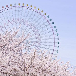 [京都]写真を撮るのが楽しくなるフォトレッスン