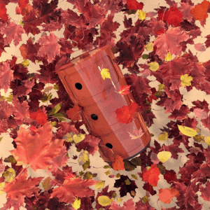 【10/17発売】カルテルの名作コンポニビリ 自然の色をまとう、5つの新カラーが登場