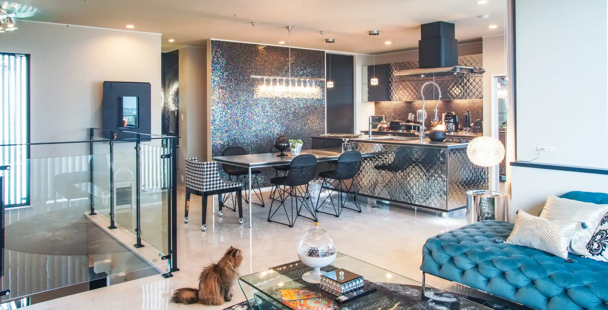 オープンキッチンのワークトップに乗る猫と清潔なステンレスキッチ