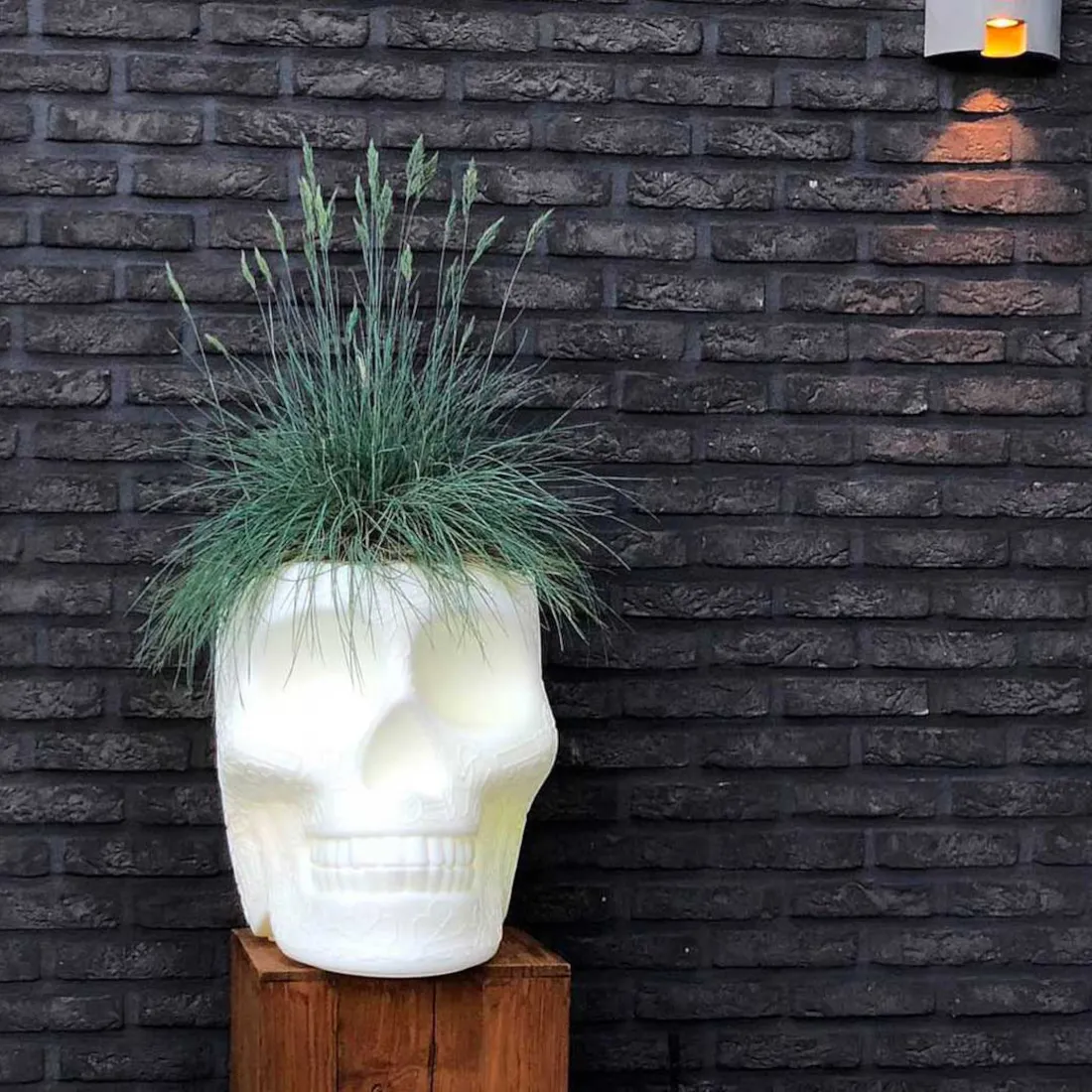 Qeeboo｜キーブー メキシコプランター＆シャンパンクーラー