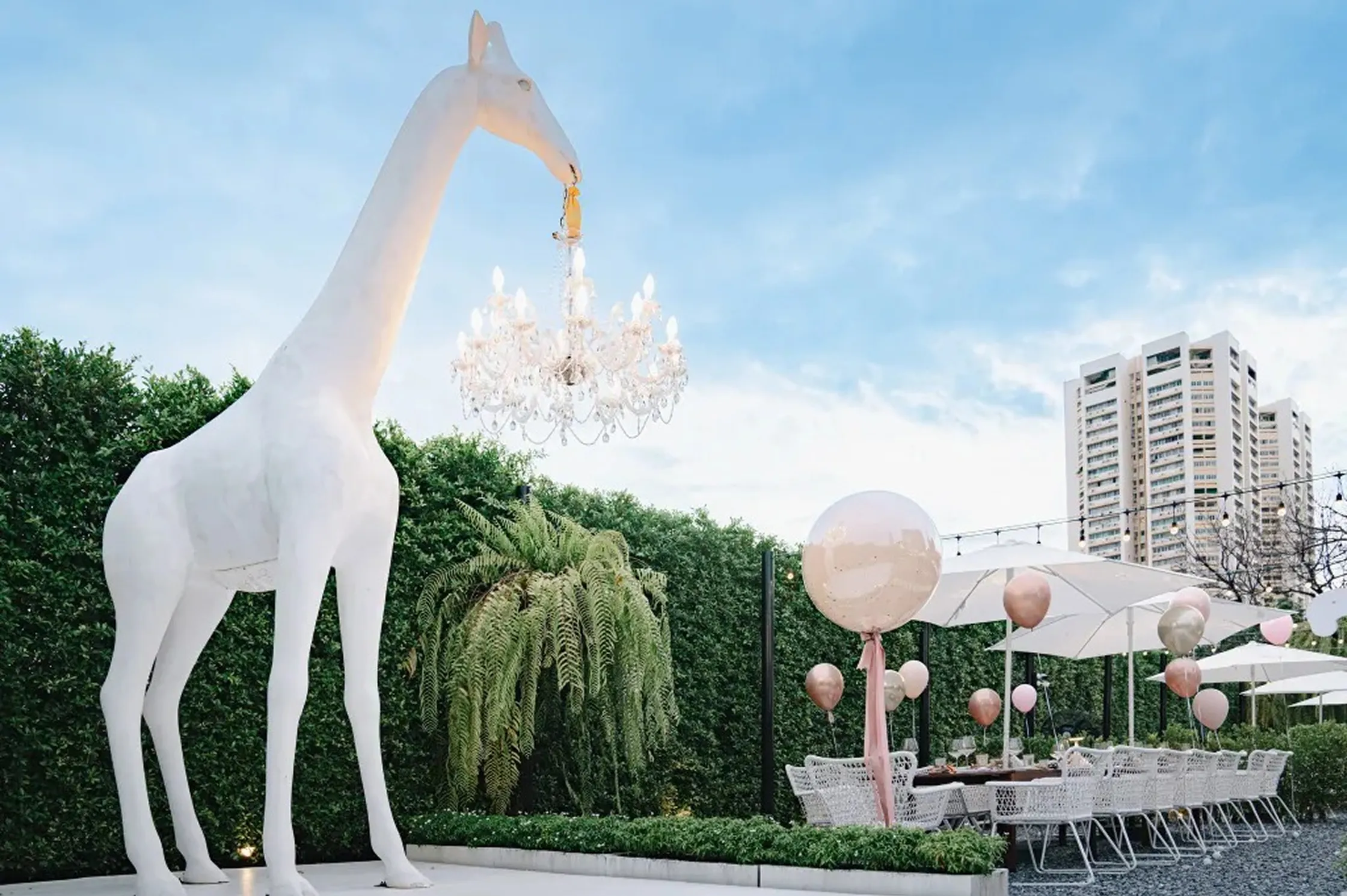 ステファノ・ジョバンノーニ｜Stefano Giovannoni