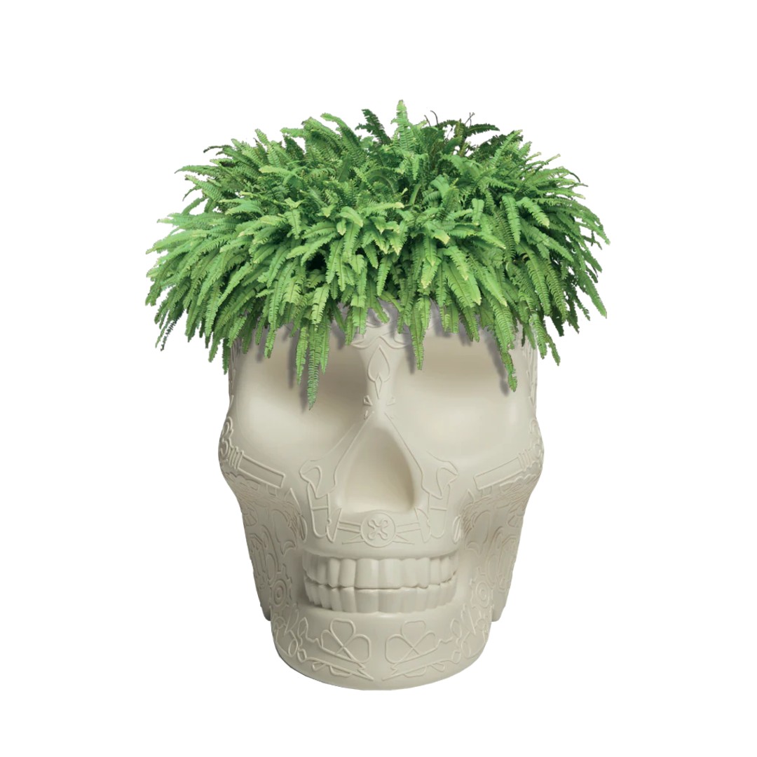 Qeeboo｜キーブー メキシコプランター＆シャンパンクーラー