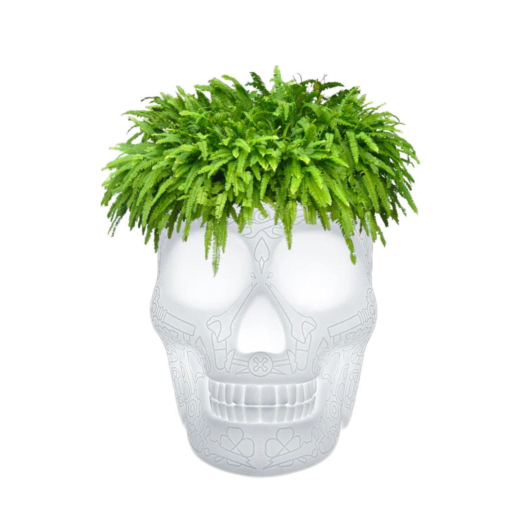 Qeeboo｜キーブー メキシコプランター＆シャンパンクーラーLED