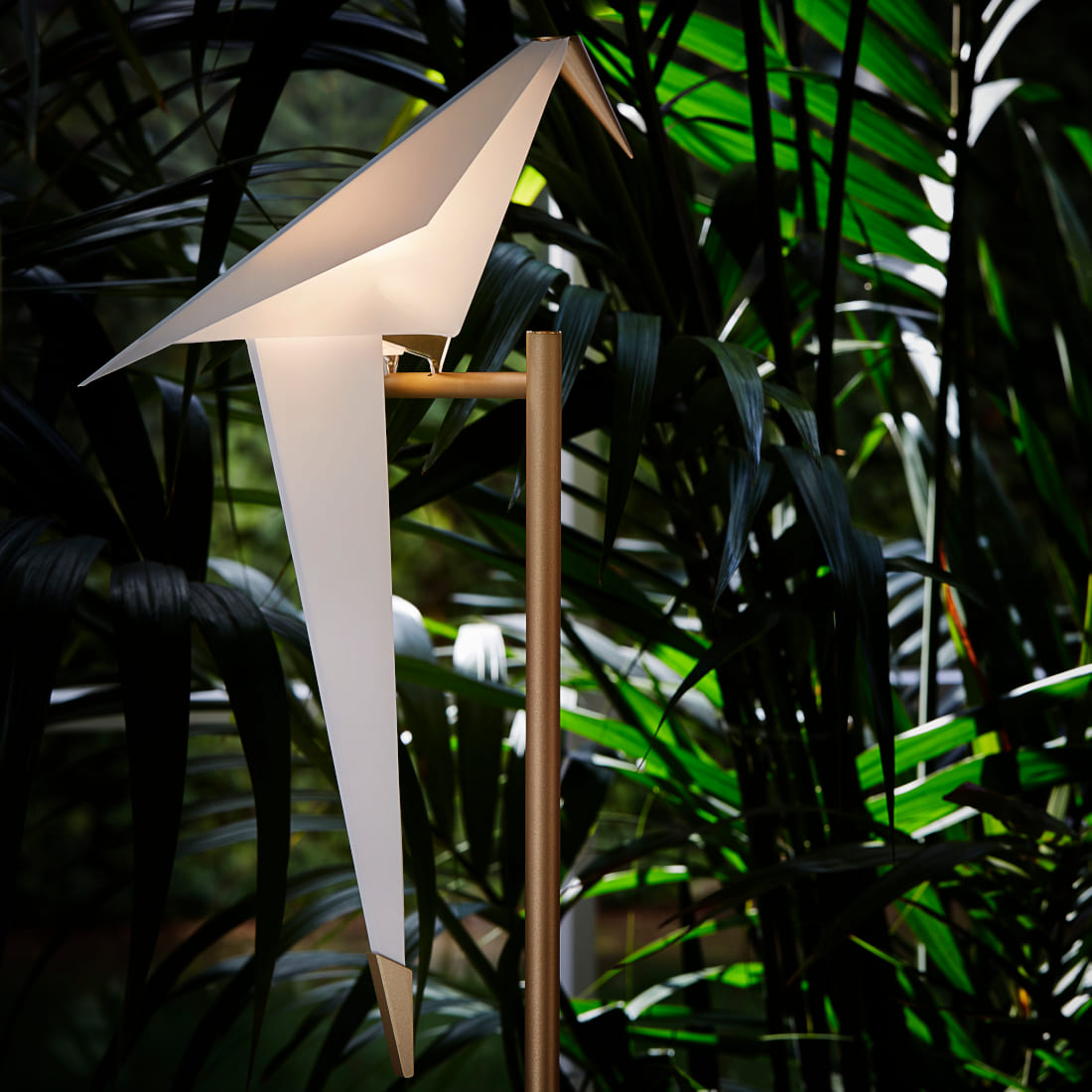 パーチライトフロア