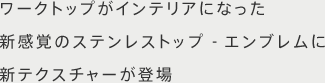 ワークトップがインテリアになった新感覚のステンレストップ-エンブレムに新テクスチャーが登場